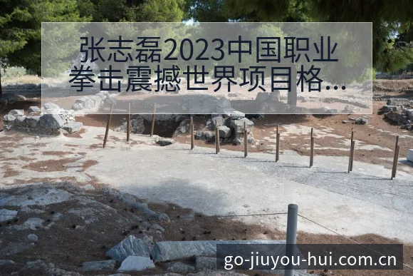 张志磊2023中国职业拳击震撼世界项目格局深度观察 - 九游会
