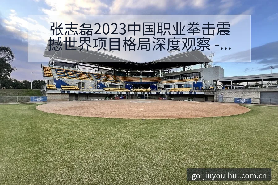 张志磊2023中国职业拳击震撼世界项目格局深度观察 - 九游会