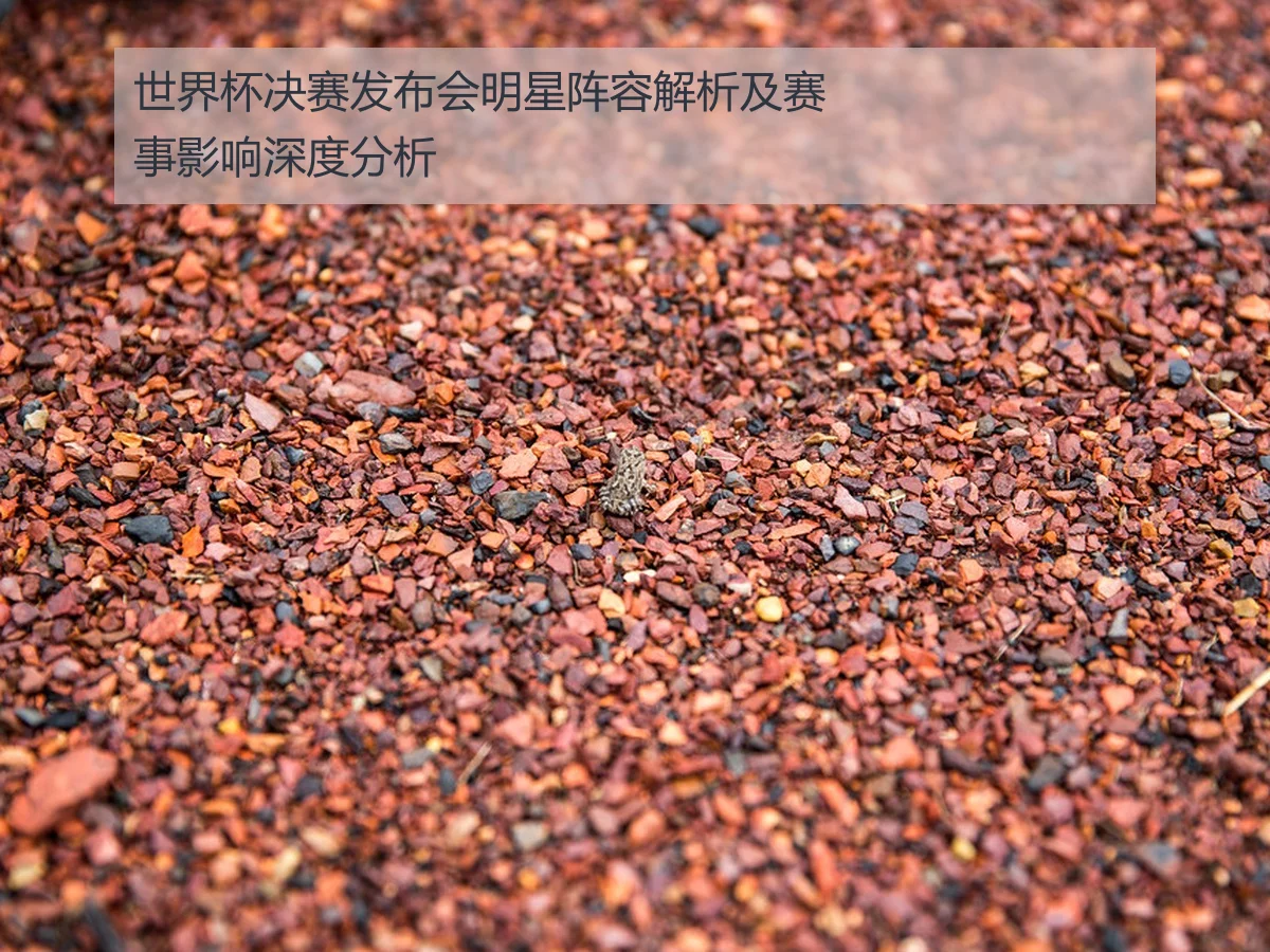 世界杯决赛发布会明星阵容解析及赛事影响深度分析